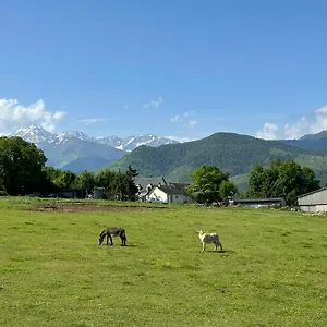 Mobil-home Cosy, Calme, Therme, Aquensis, Casino Camping